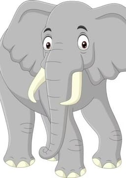 African Elephant