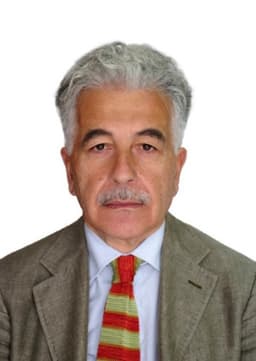 Alessandro Gamberini