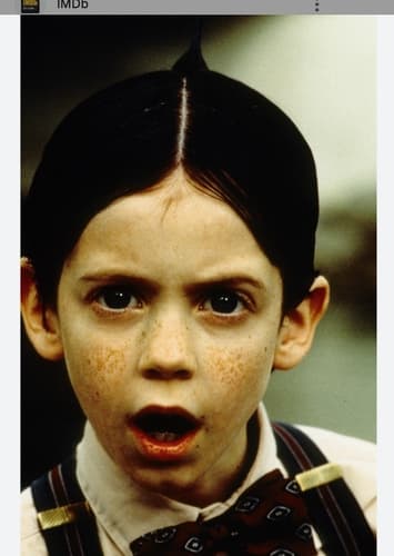 Alfalfa