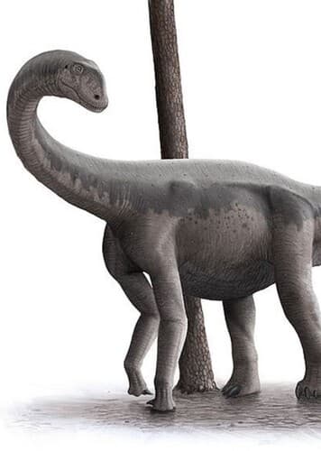 Algoasaurus