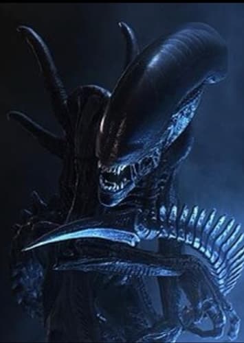 Alien Xenomorph