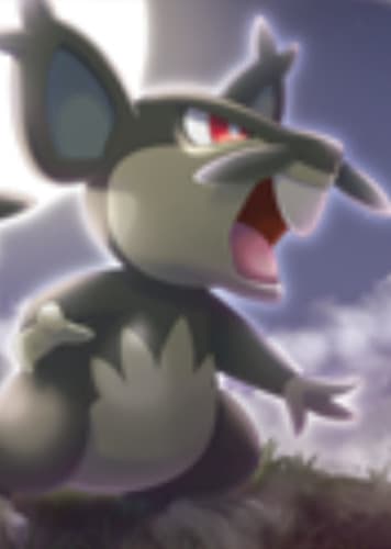 Alolan Rattata / アローラ コラッタ