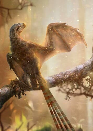 Ambopteryx
