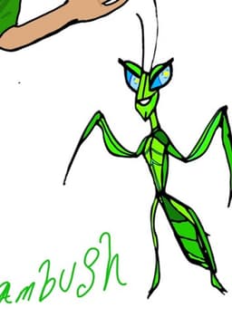 Ambush