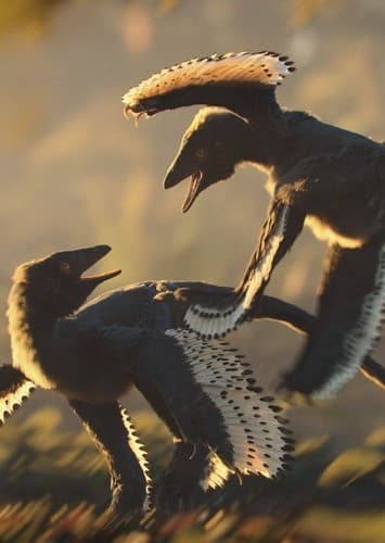 Anchiornis