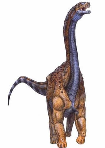 Andesaurus
