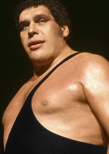 Andre the Giant