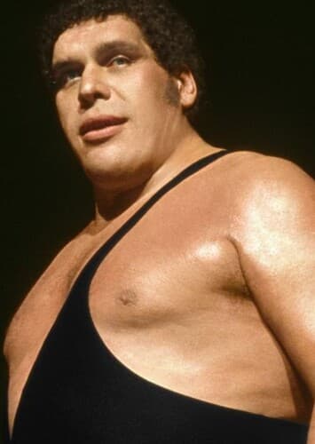 Andre The Giant