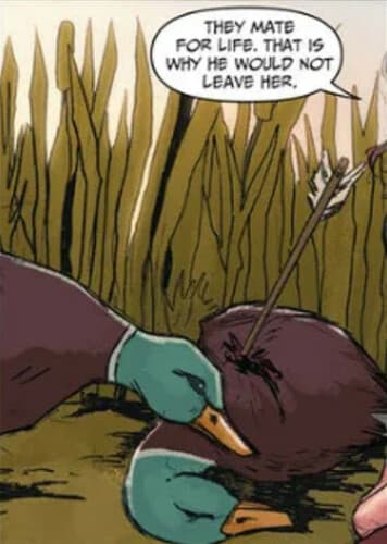 Animal Gender-Bender