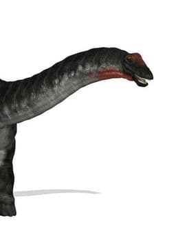 Apatosaurus