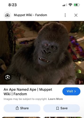 Ape named ape