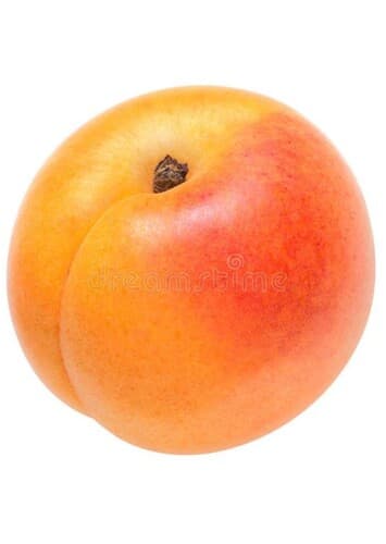 Apricot