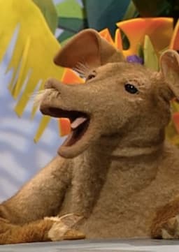Arlene the aardvark