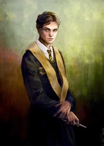 Amos Diggory
