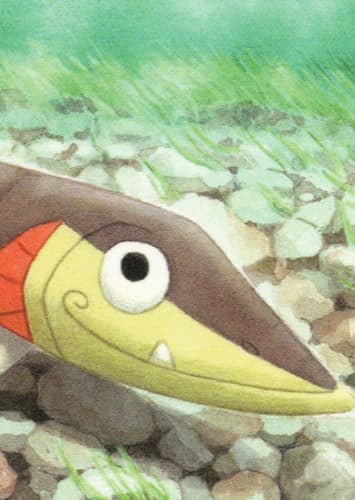 Arrokuda / サシカマス