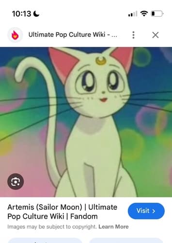 Artemis cat