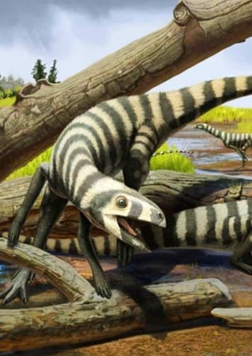 Asilisaurus