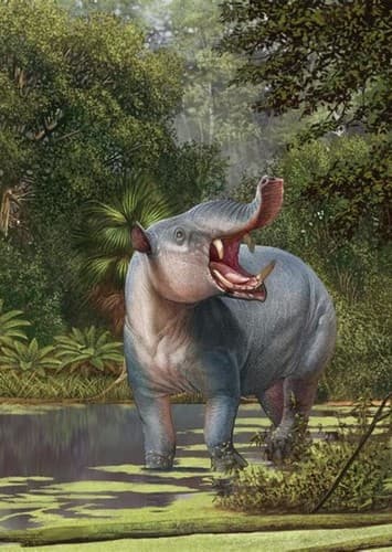 Astrapotherium