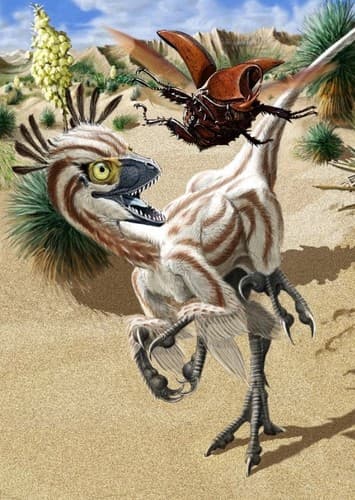 Atrociraptor