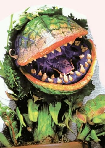 Audrey II