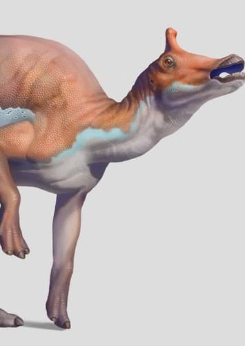 Augustynolophus