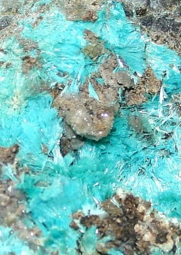 Aurichalcite