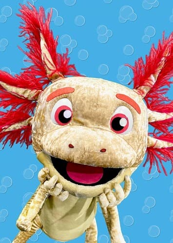 Axl the Axolotl