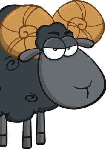 Baa Baa Black Sheep