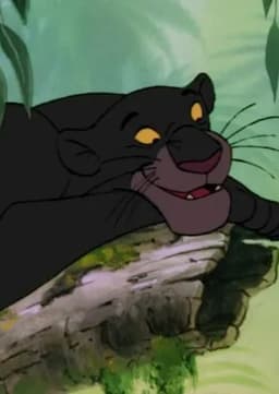 Bagheera