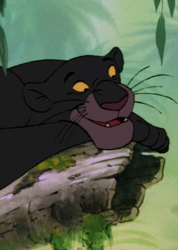 Bagheera