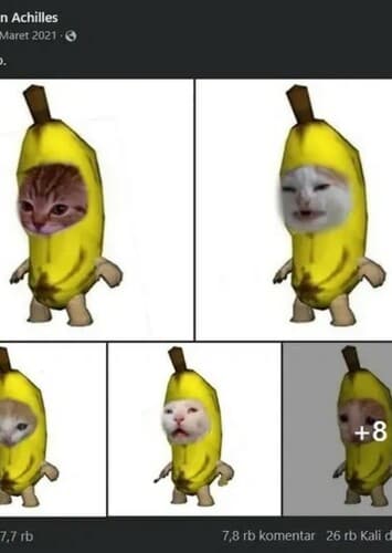 Banana Cat