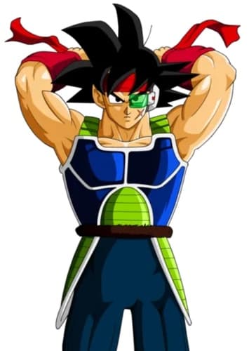 Bardock