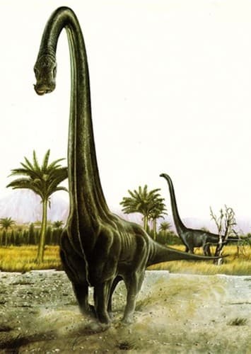 Barosaurus