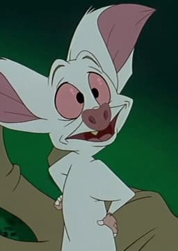 Bartok
