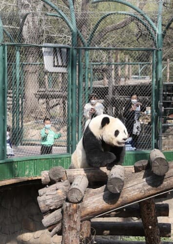 Beijing Zoo