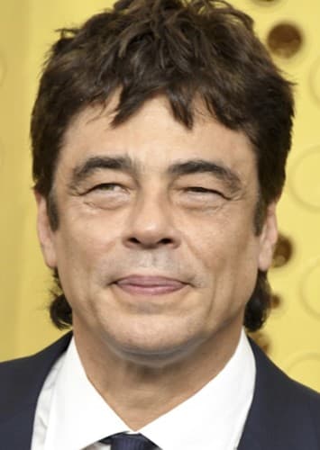 Benicio Del Toro