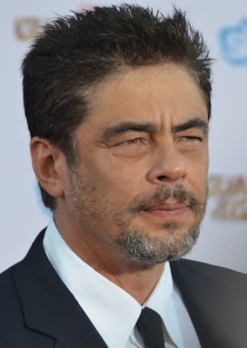 Benicio Del Toro