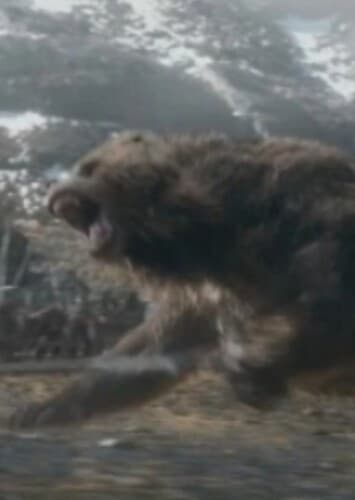 Beorn