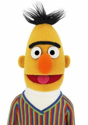 Bert