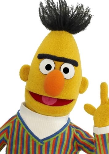 Bert