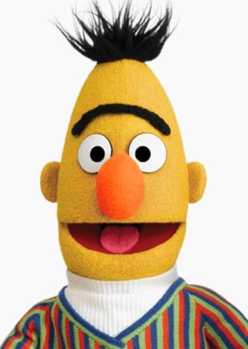 Bert