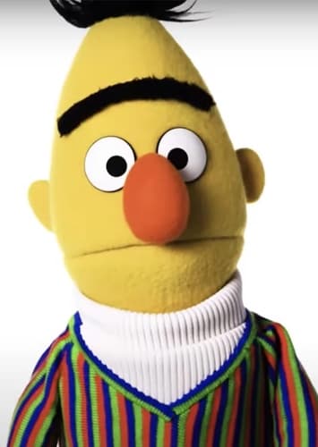 Bert