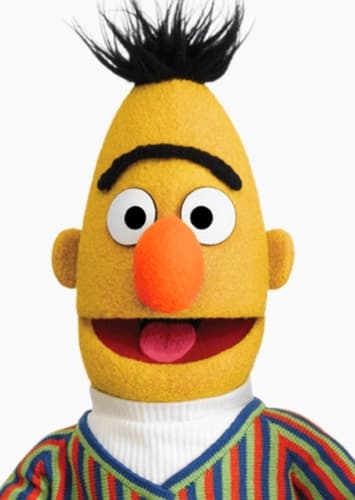 Bert