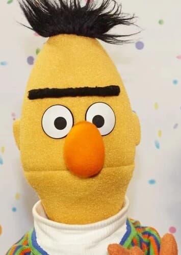 Bert