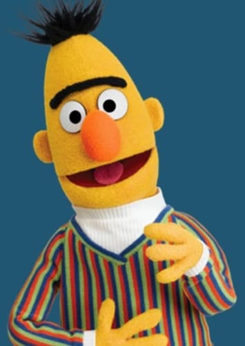 Bert