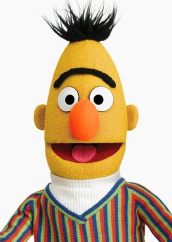 Bert