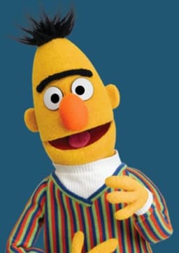 Bert