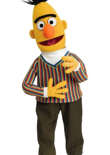 Bert