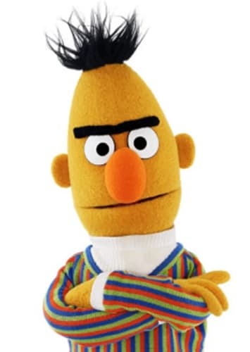 Bert