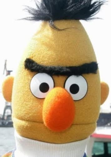 Bert